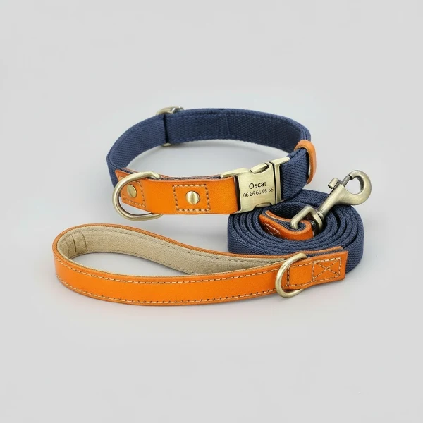 Collier pour chien personnalisable en nylon et cuir