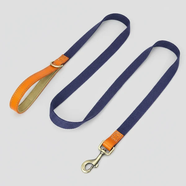 Collier pour chien personnalisable en nylon et cuir