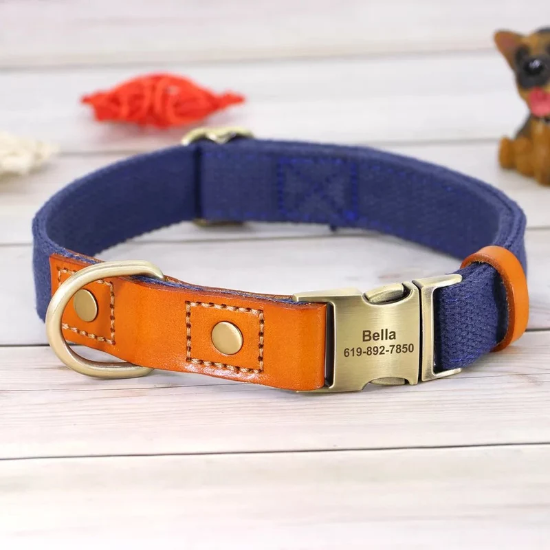 Collier pour chien personnalisable en nylon et cuir