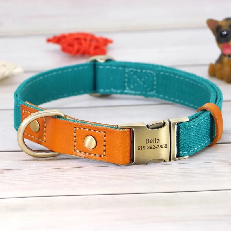 Collier pour chien personnalisable en nylon et cuir