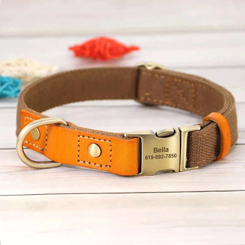 Collier pour chien personnalisable en nylon et cuir