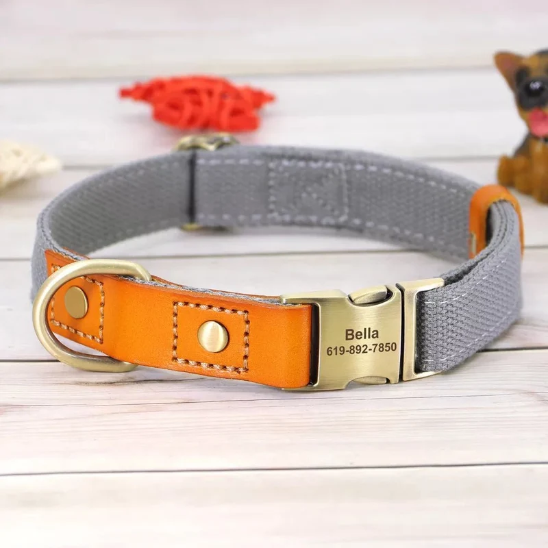 Collier pour chien personnalisable en nylon et cuir