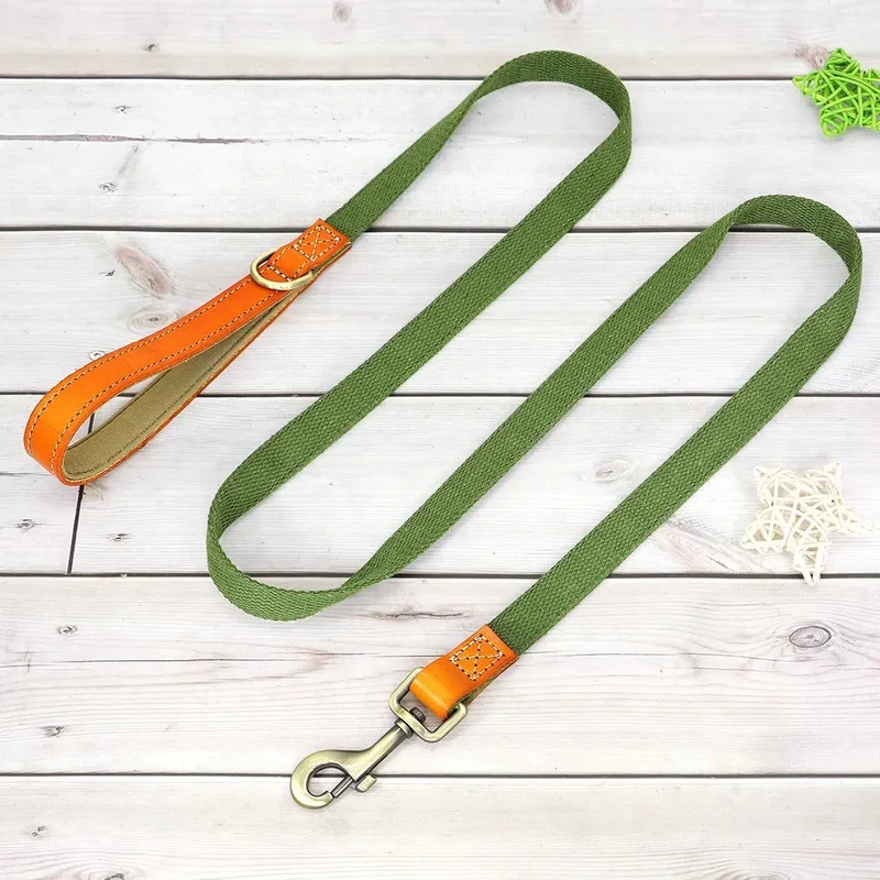 Collier pour chien personnalisable en nylon et cuir