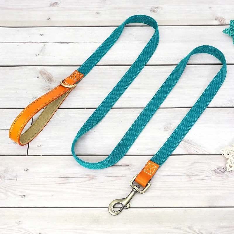 Collier pour chien personnalisable en nylon et cuir