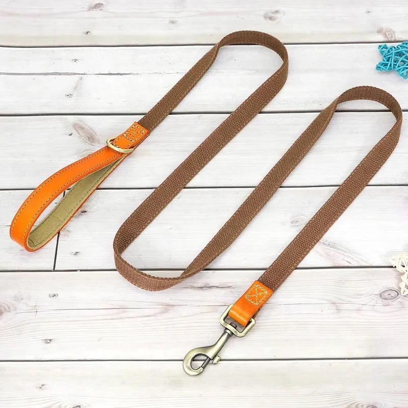 Collier pour chien personnalisable en nylon et cuir