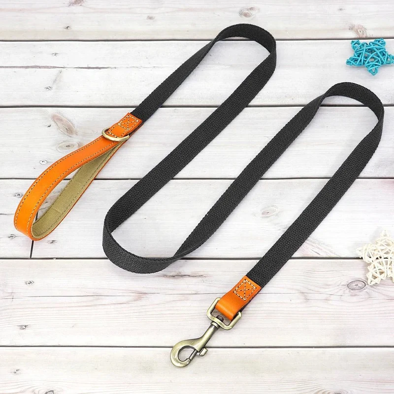 Collier pour chien personnalisable en nylon et cuir