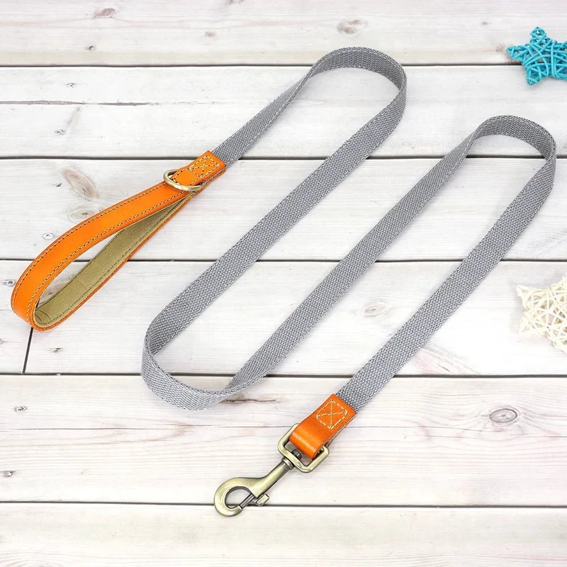 Collier pour chien personnalisable en nylon et cuir