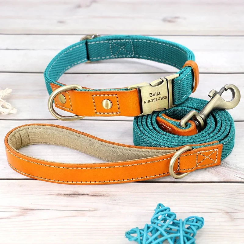 Collier pour chien personnalisable en nylon et cuir