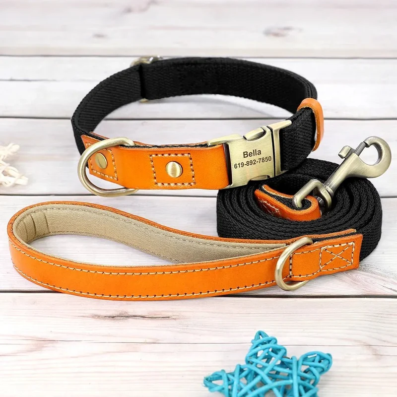 Collier pour chien personnalisable en nylon et cuir