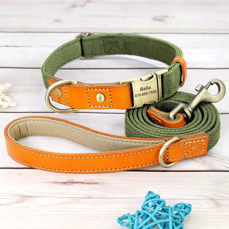 Collier pour chien personnalisable en nylon et cuir