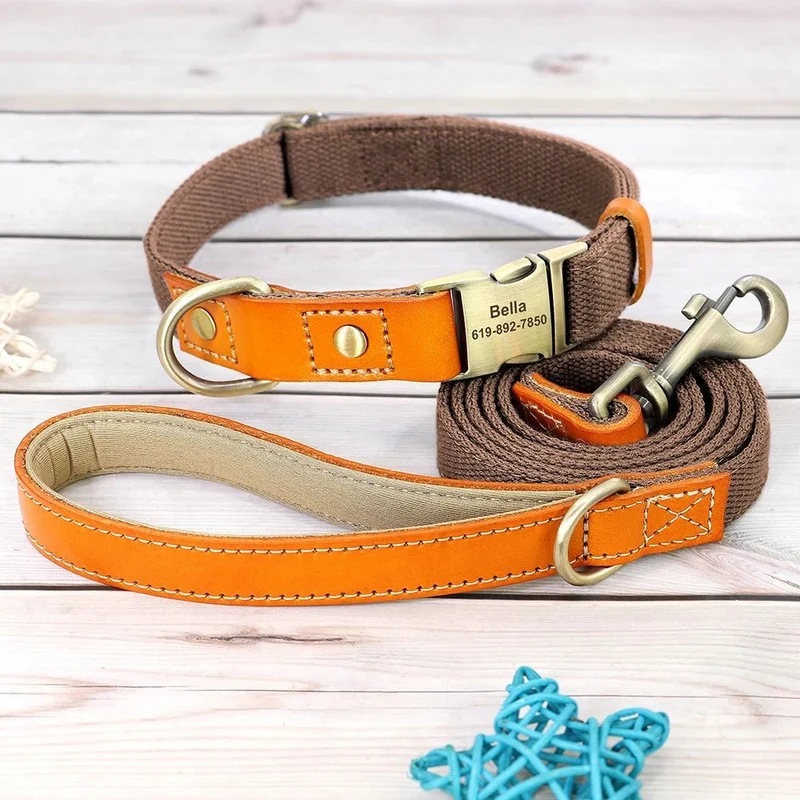 Collier pour chien personnalisable en nylon et cuir