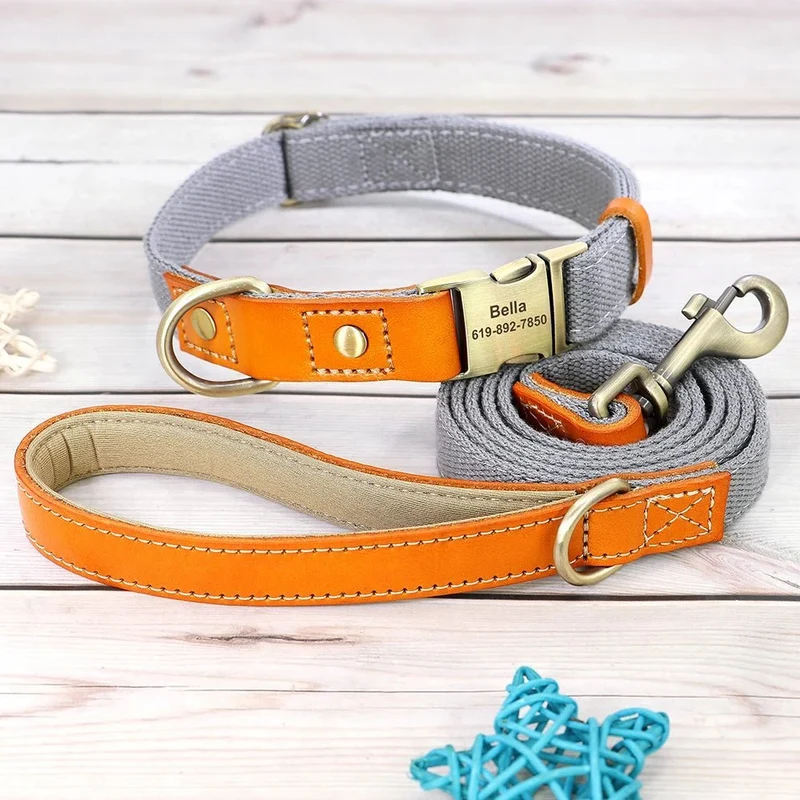 Collier pour chien personnalisable en nylon et cuir