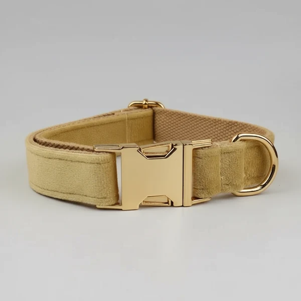 Collier velours chien Oscar et Plume - Élégance et confort