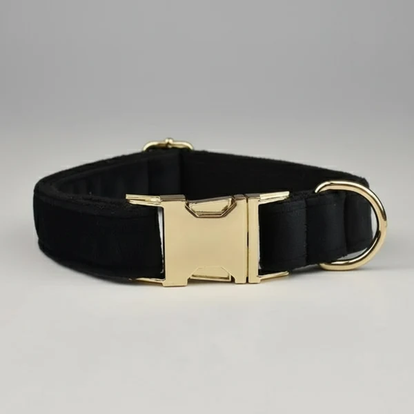 Collier velours chien Oscar et Plume - Élégance et confort