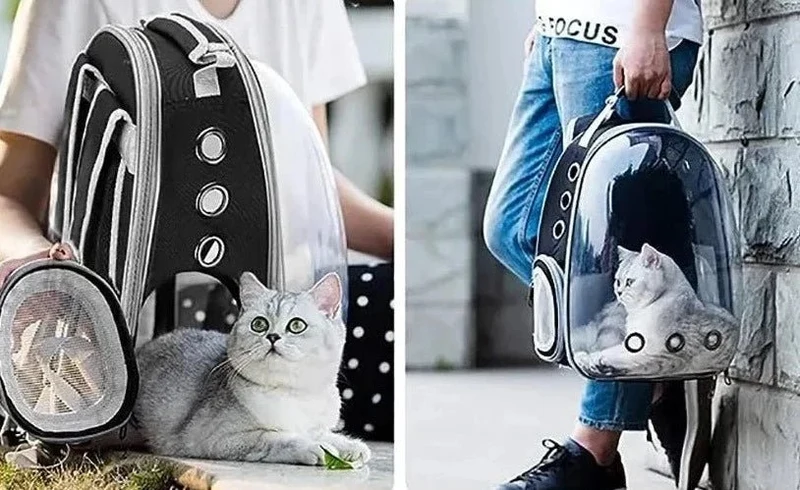 Sac À dos De Transport Pour Chat Et Chien
