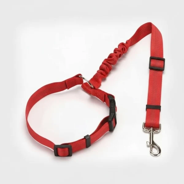 Ceinture De Sécurité Résistante Pour Chien