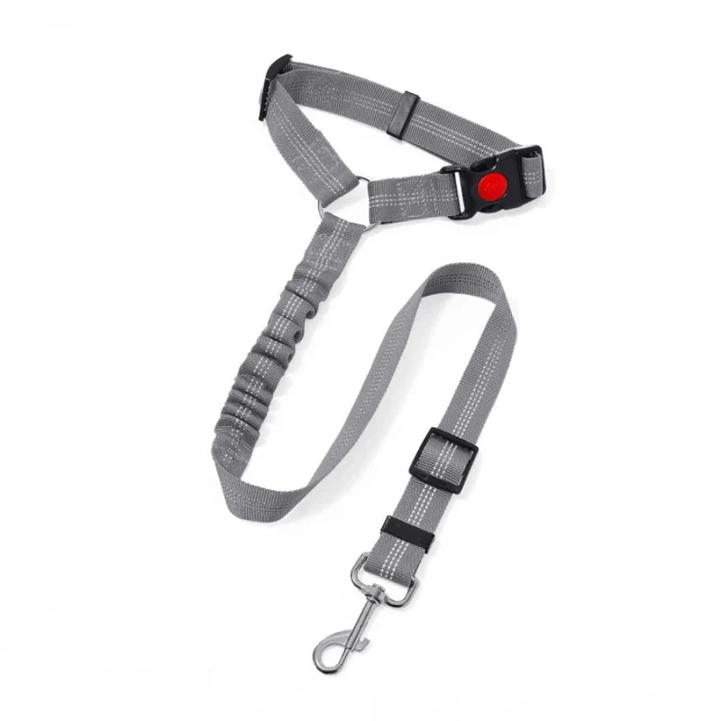 Ceinture De Sécurité Résistante Pour Chien