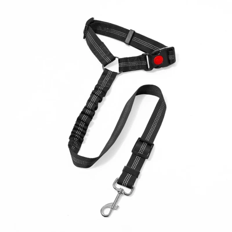 Ceinture De Sécurité Résistante Pour Chien