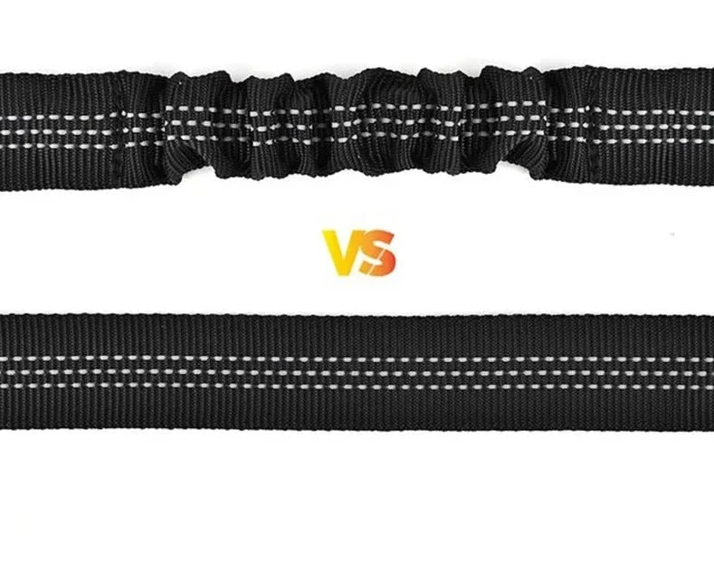 Ceinture De Sécurité Réglable Pour Chien