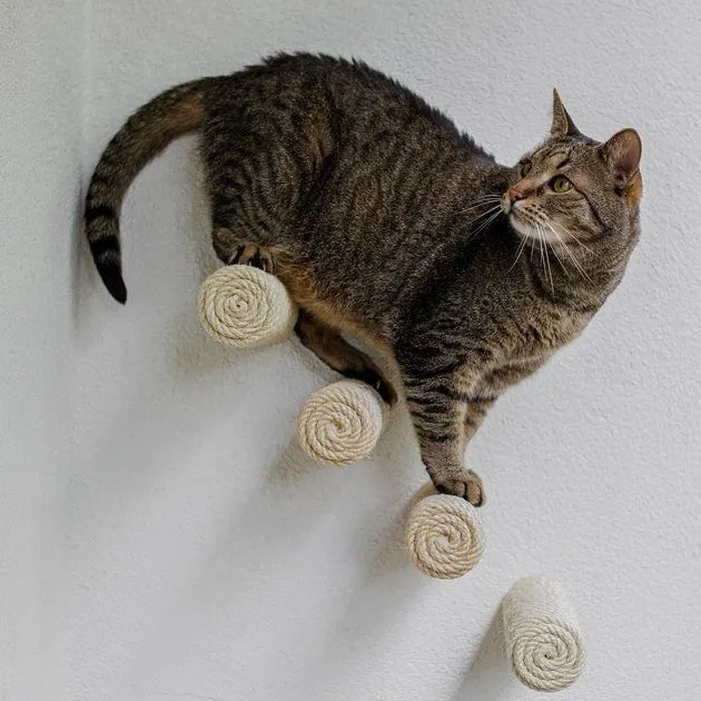 Marches murales pour chat - Escalade design mural