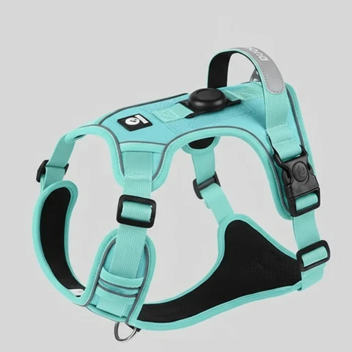 Harnais Pour Chien Avec Emplacement AirTag