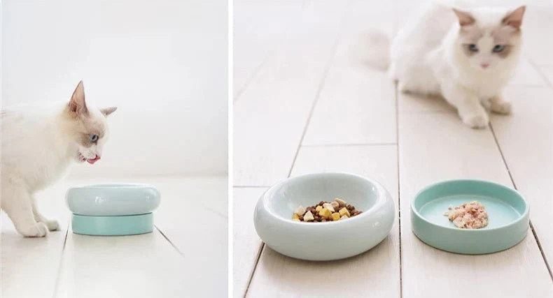 Gamelle pour chat céramique surélevée – Oscar et Plume