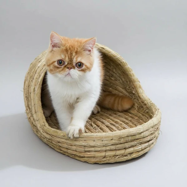 Panier en Osier pour Chat - Confort Naturel et Design