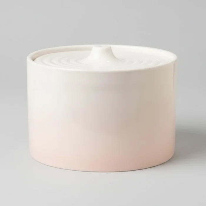 Fontaine à eau pour chat en céramique design : hydratation saine au quotidien