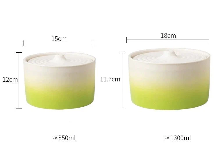 Fontaine à eau pour chat en céramique design : hydratation saine au quotidien