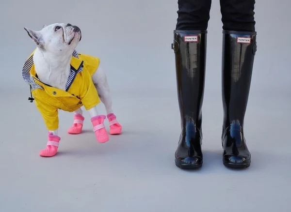 Imperméable pour chien