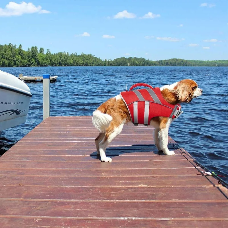 Gilet De Sauvetage Pour Chien Sécurisé Et Confortable