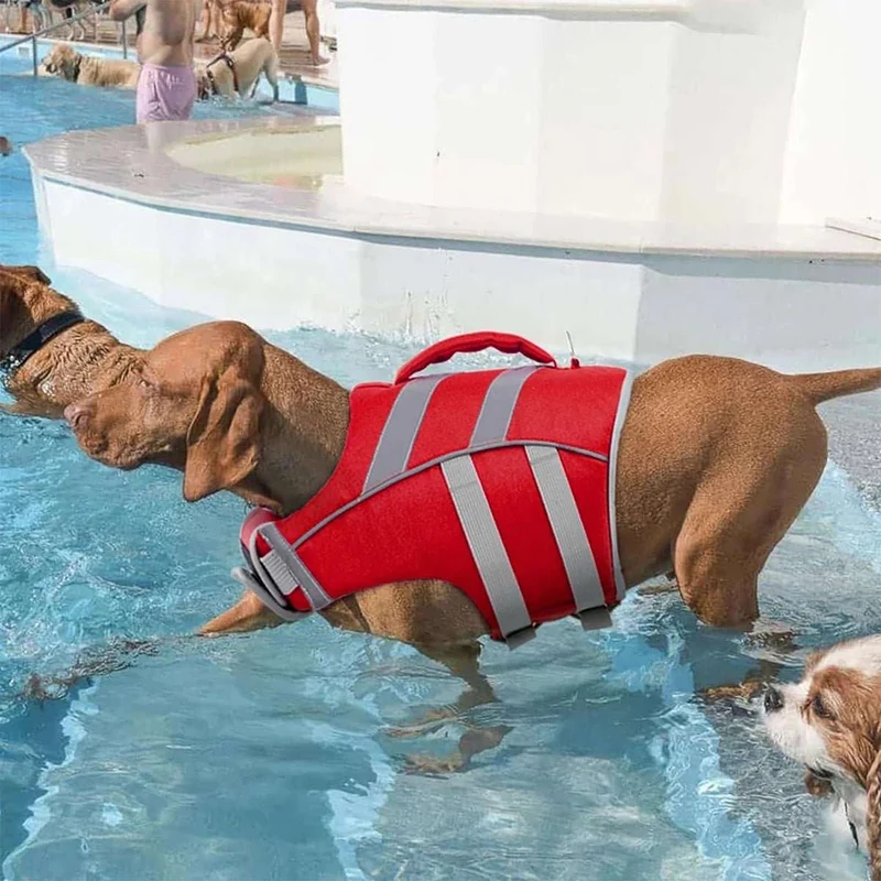 Gilet De Sauvetage Pour Chien Sécurisé Et Confortable