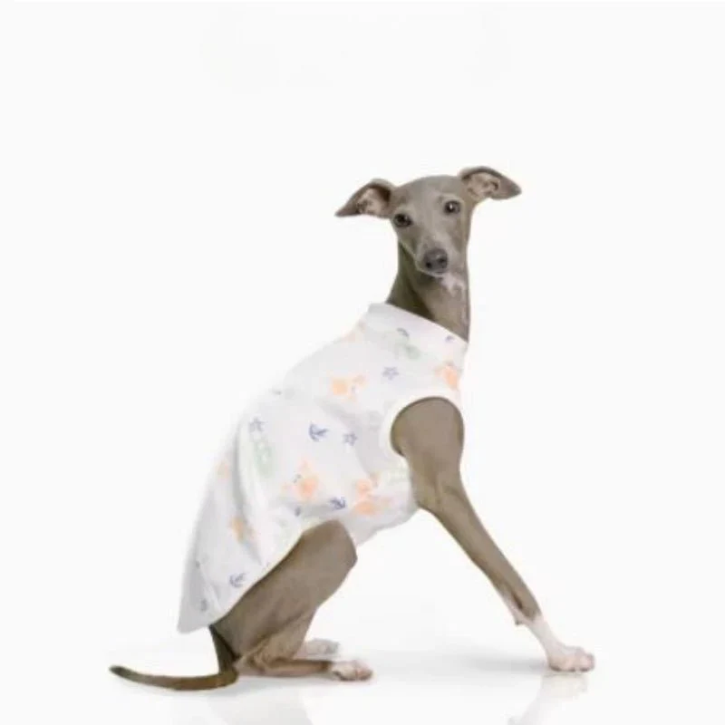 T-shirt Doux Pour Lévrier Et Whippet