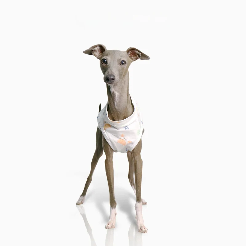 T-shirt Doux Pour Lévrier Et Whippet