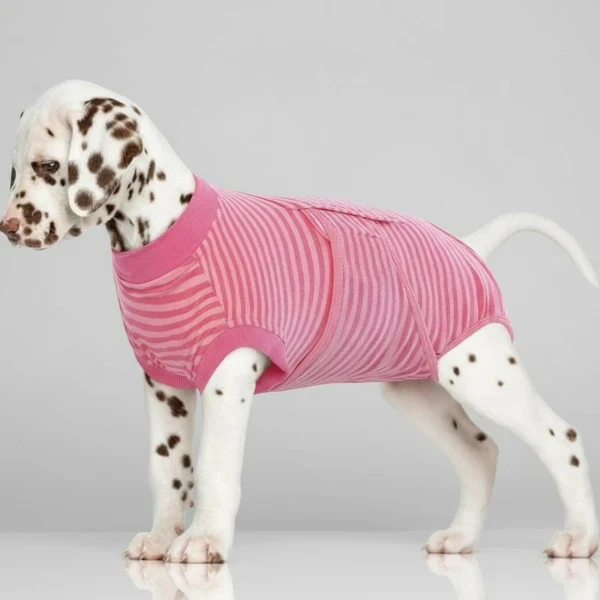 T-Shirt Post Opératoire Confort Pour Chien