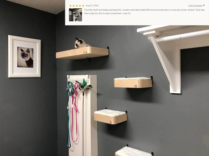 Étagère Murale Pour Chat Design