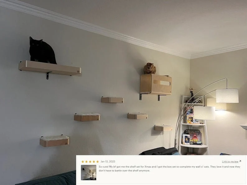 Étagère Murale Pour Chat Design