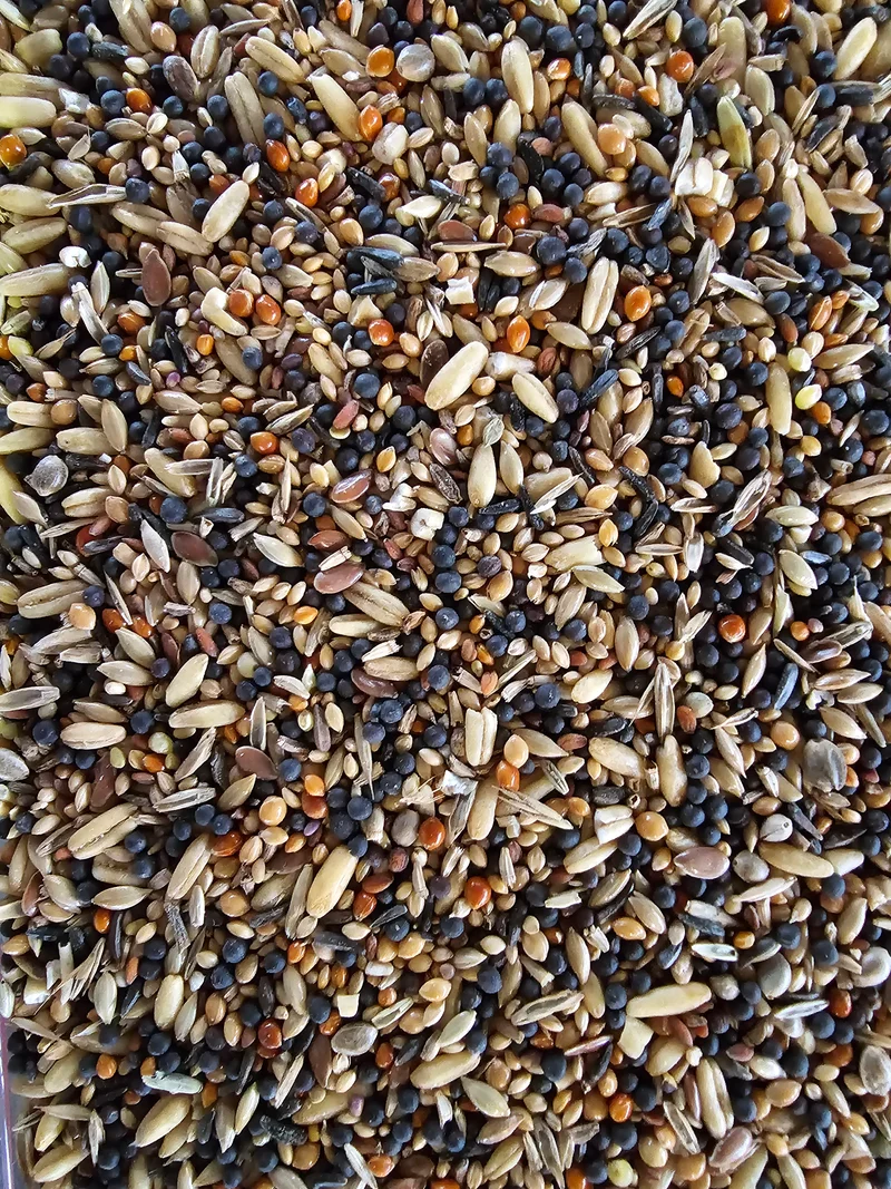Graines de santé Vitakraft.
