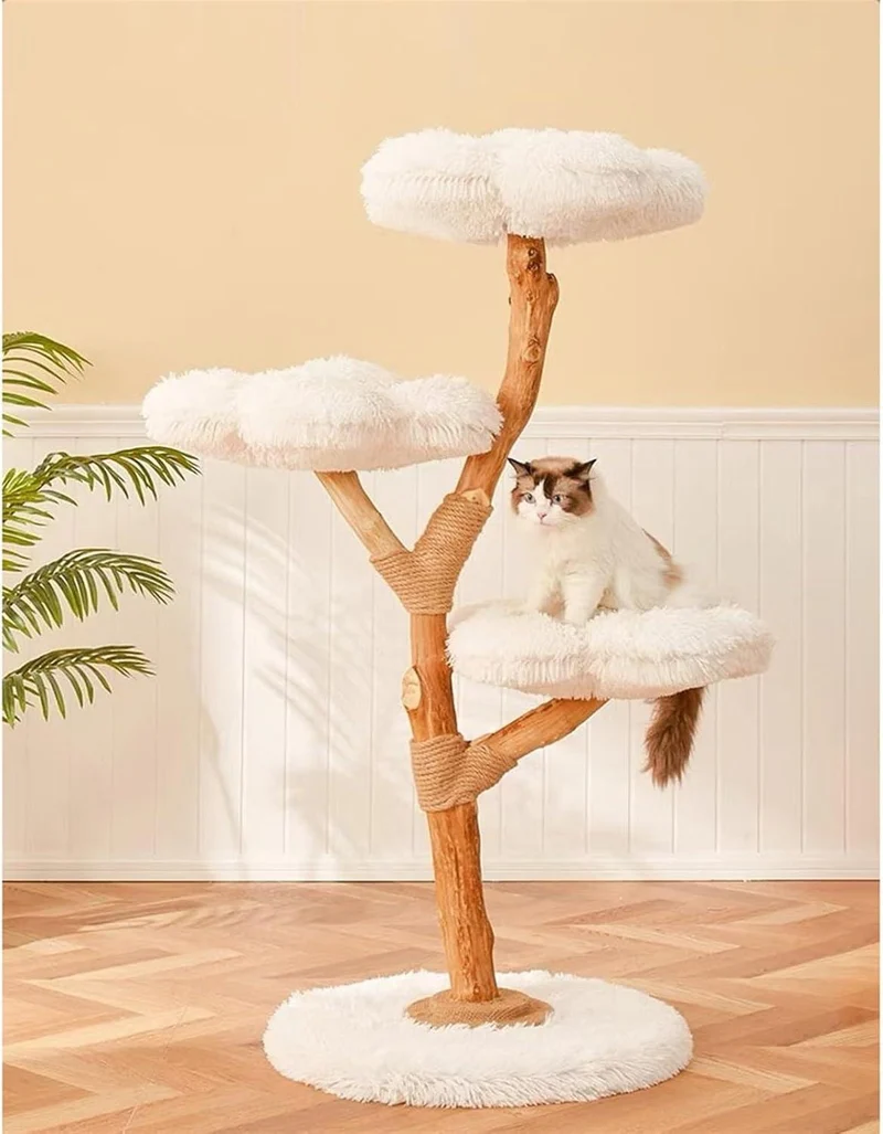 Arbre à Chat Bois | Canopée
