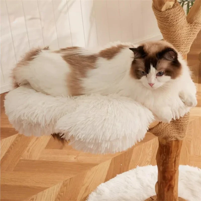 Arbre à Chat Bois | Canopée