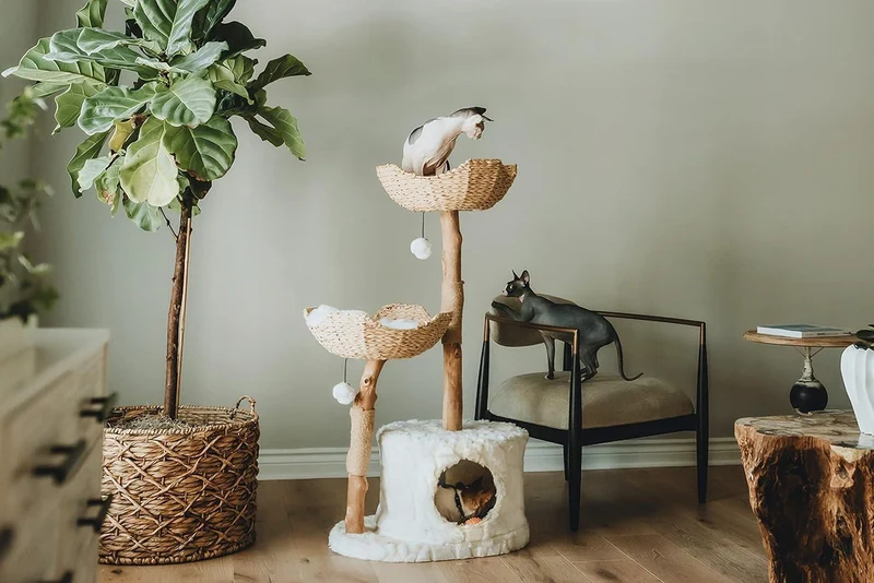 Arbre à Chat Bois | Zénith