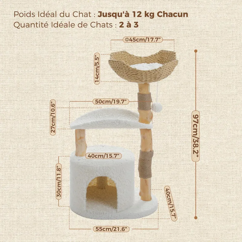 Arbre à Chat Bois | Néva