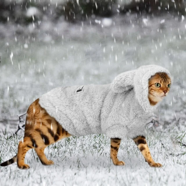 Jacket For Small Medium Dogs Cats
