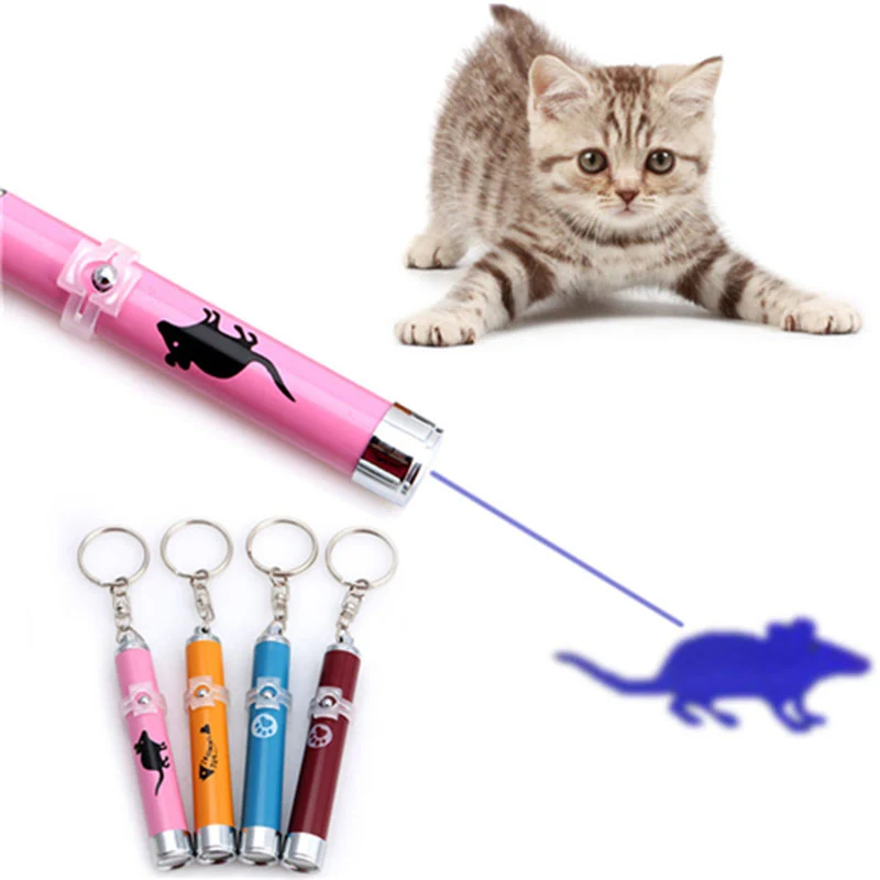 Cats Toy With Bright Animation Mouse Shadow