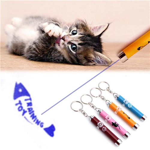 Cats Toy With Bright Animation Mouse Shadow