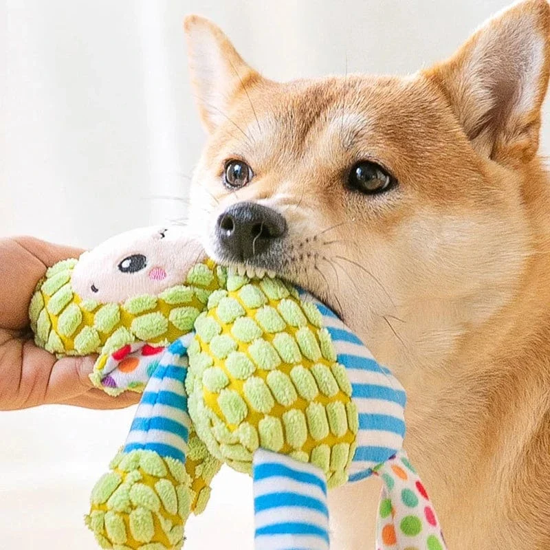 Jouet en peluche pour chien – résistant, grinçant & nettoyage