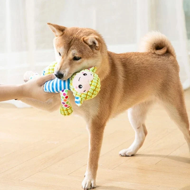 Jouet en peluche pour chien – résistant, grinçant & nettoyage