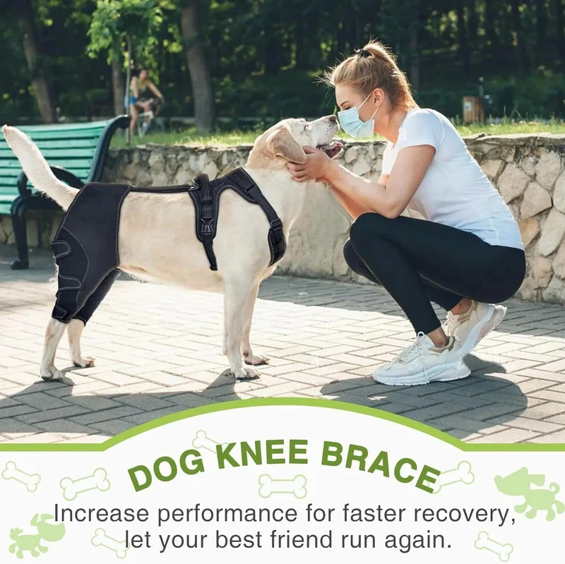 Genouillère chien avec support métal – attelle acl réglable