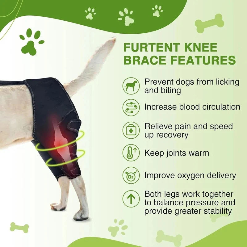 Genouillère chien avec support métal – attelle acl réglable