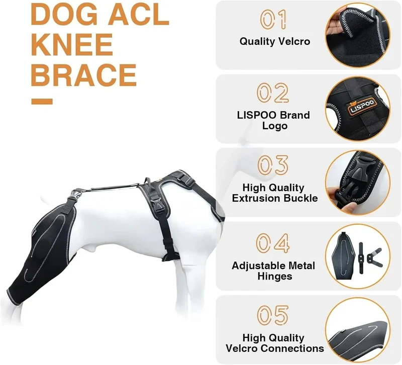 Genouillère chien avec support métal – attelle acl réglable